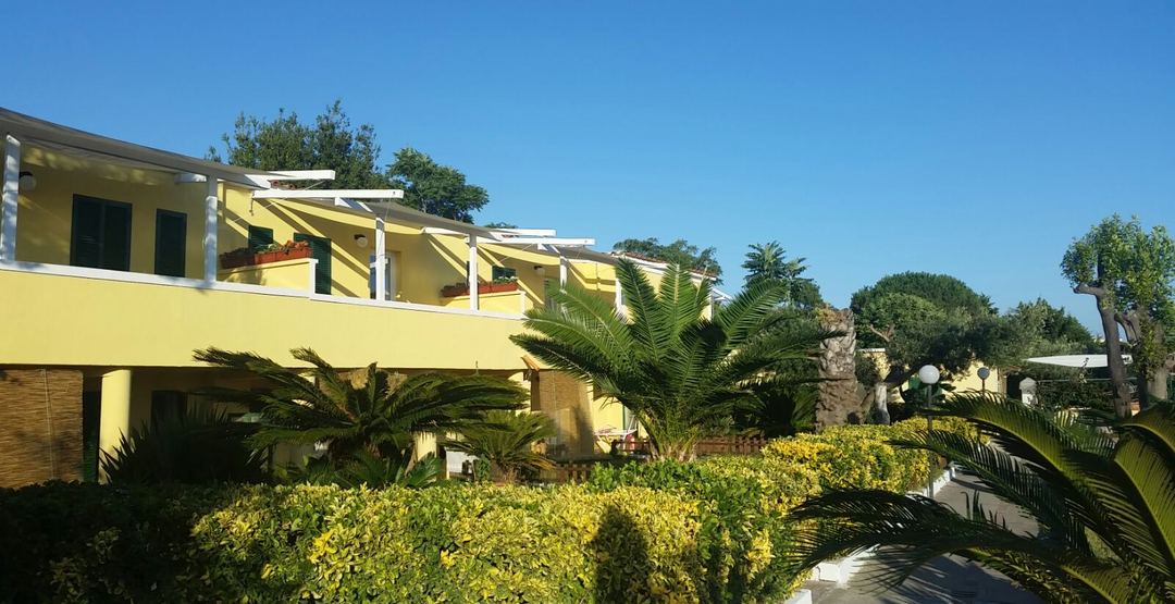 Bright yellow Mediterranean-style hotel building with manicured yellow-green hedges, palm trees, and clear blue sky in a landscaped garden setting.